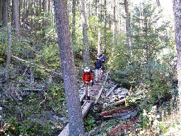 Trail from Cyphers Mine to Hunting Lodge